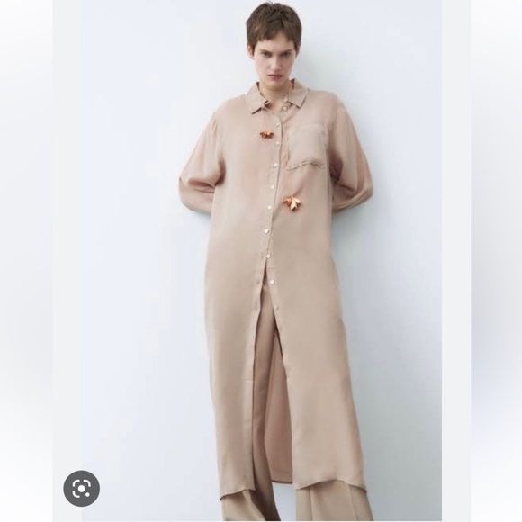 Zara Dresses & Skirts - ZARA OVERSIZED SHIRT DRESS